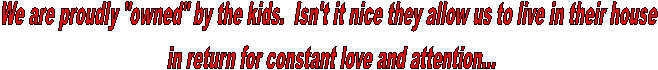 We are proudly "owned" by the kids.  Isn't it nice they allow us to live in their house in return for constant
love and attention...