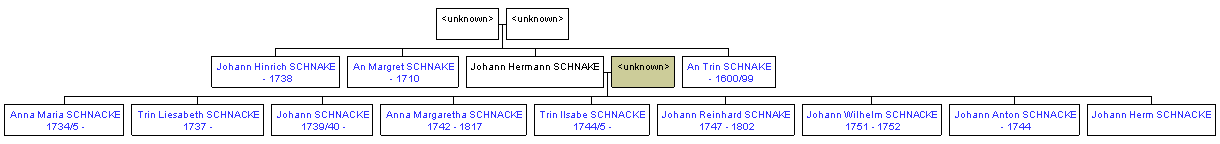 Mini tree diagram