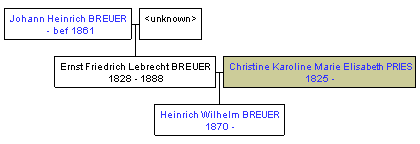 Mini tree diagram
