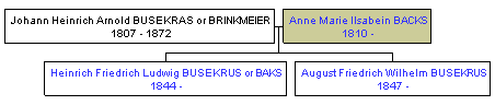Mini tree diagram