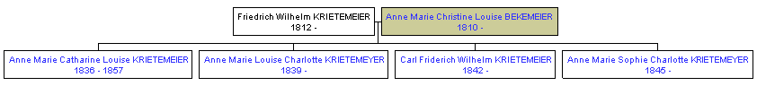 Mini tree diagram